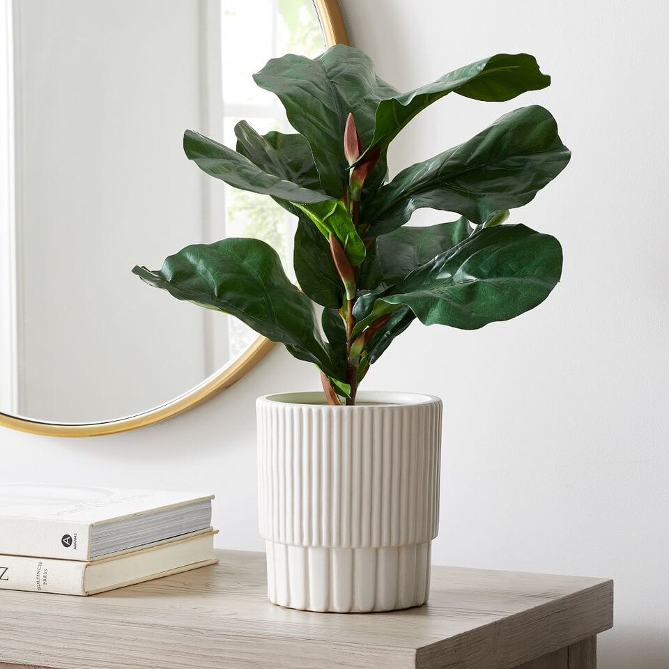Faux Potted Fiddle Leaf Fig Trees West Elm UK